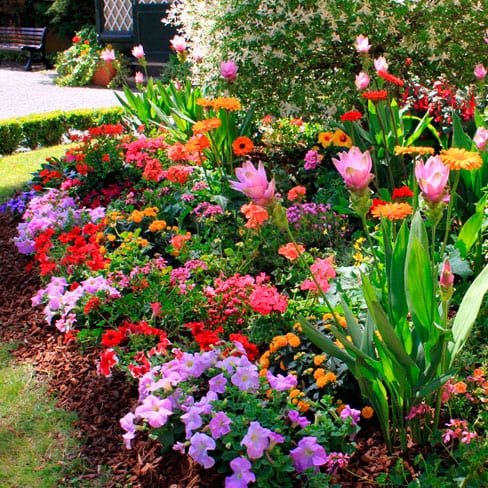 Composição de plantas e materiais 2